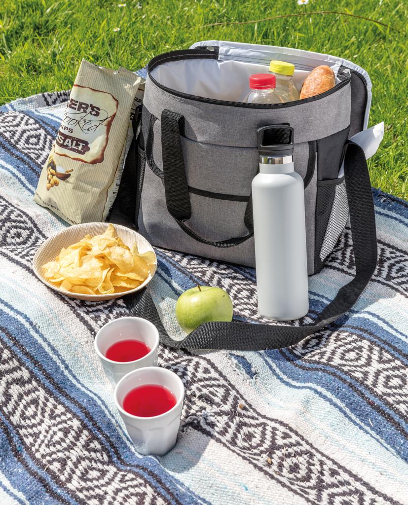Bild på Kylväska Basic Large 14,5L