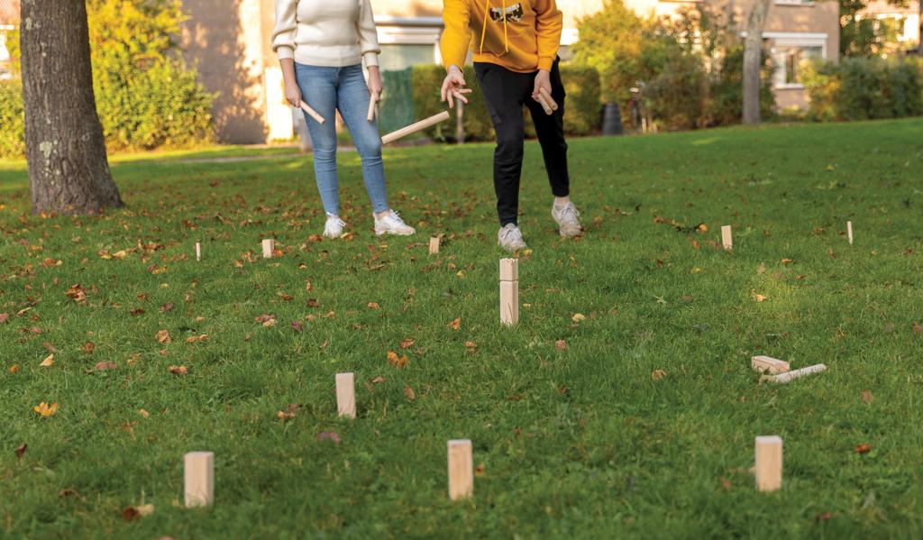 Bild på Kubb-set