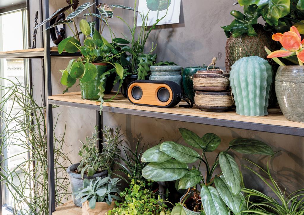 Bild på Högtalare Bamboo X 10W