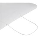 Bild på Papperspåse Butik Pro XL 120 g/m² - tvinnade handtag