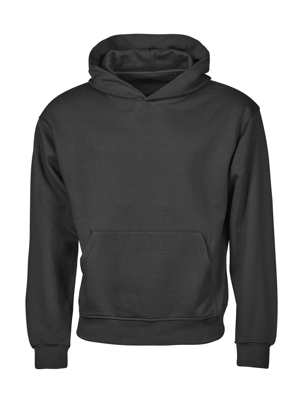 Bild på Hoodie TeeJays Urban Loose Fit