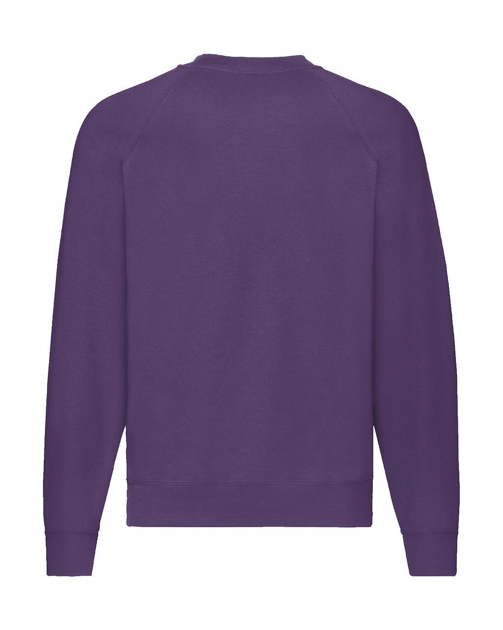 Bild på Sweatshirt Classic Raglan