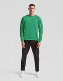 Bild på Sweatshirt Classic Raglan