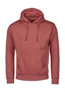 Bild på Hoodie TeeJays Urban