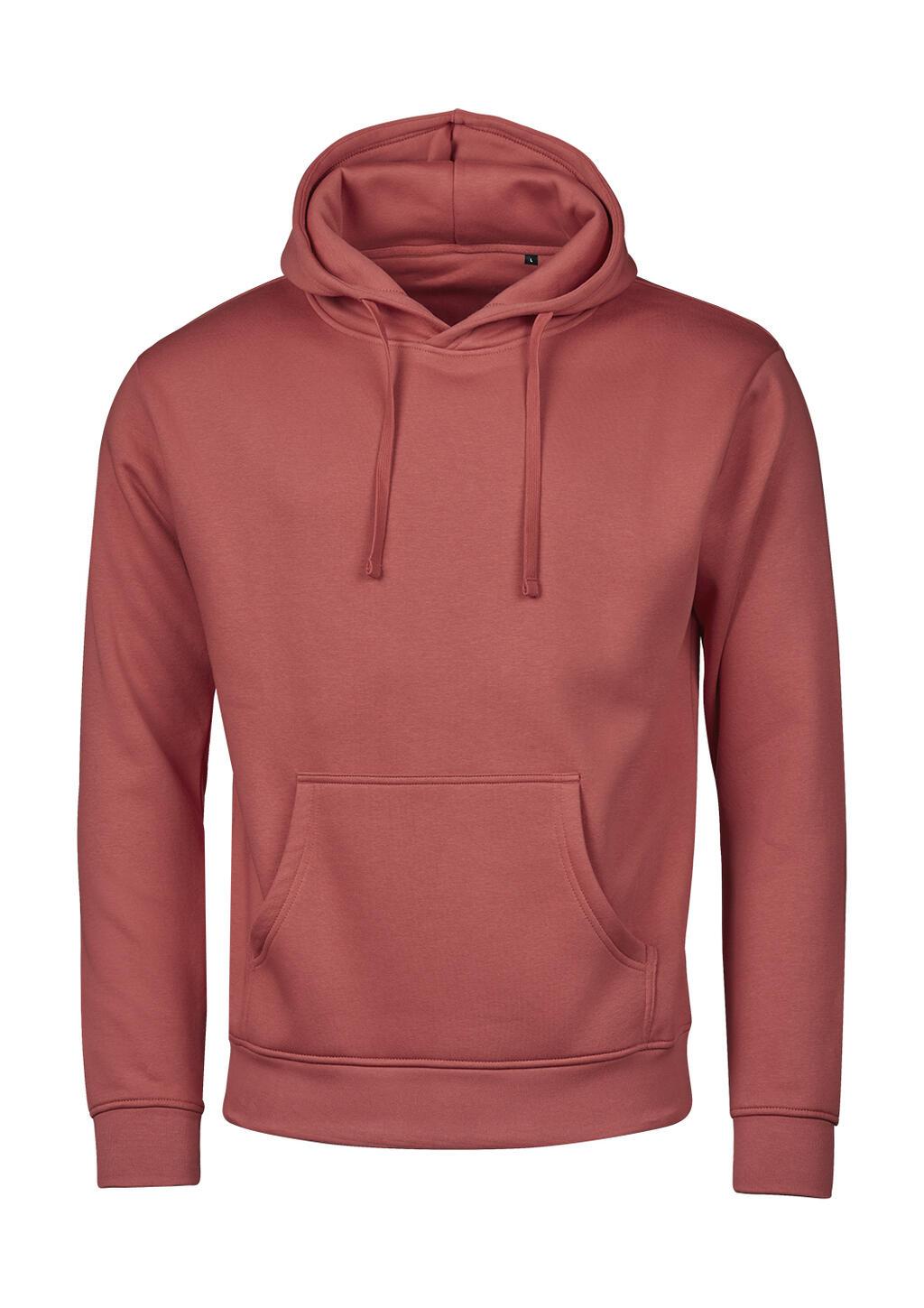Bild på Hoodie TeeJays Urban