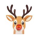 Bild på Ren med Lindtkula 12g