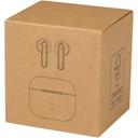 Bild på Öronsnäckor Altais