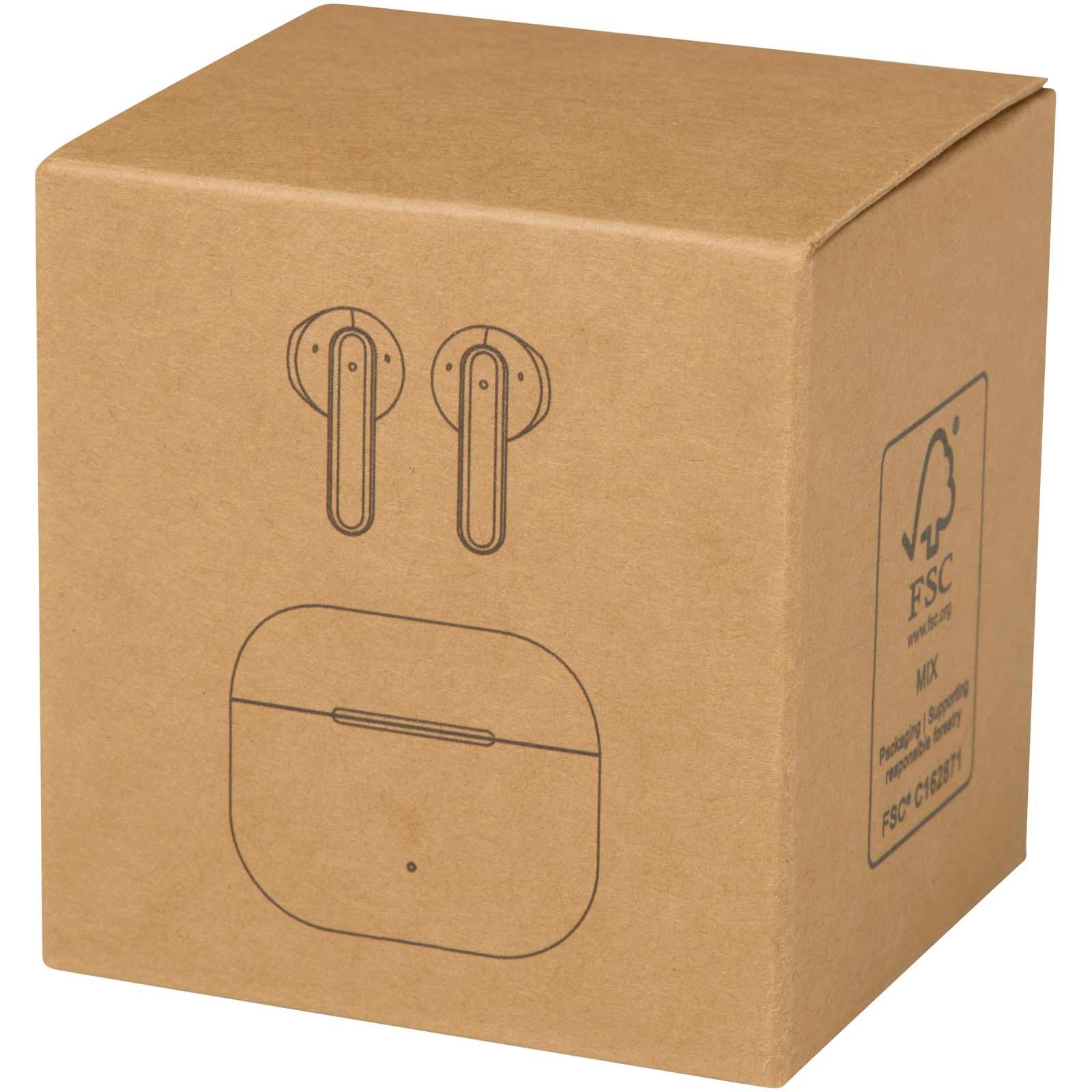 Bild på Öronsnäckor Altais