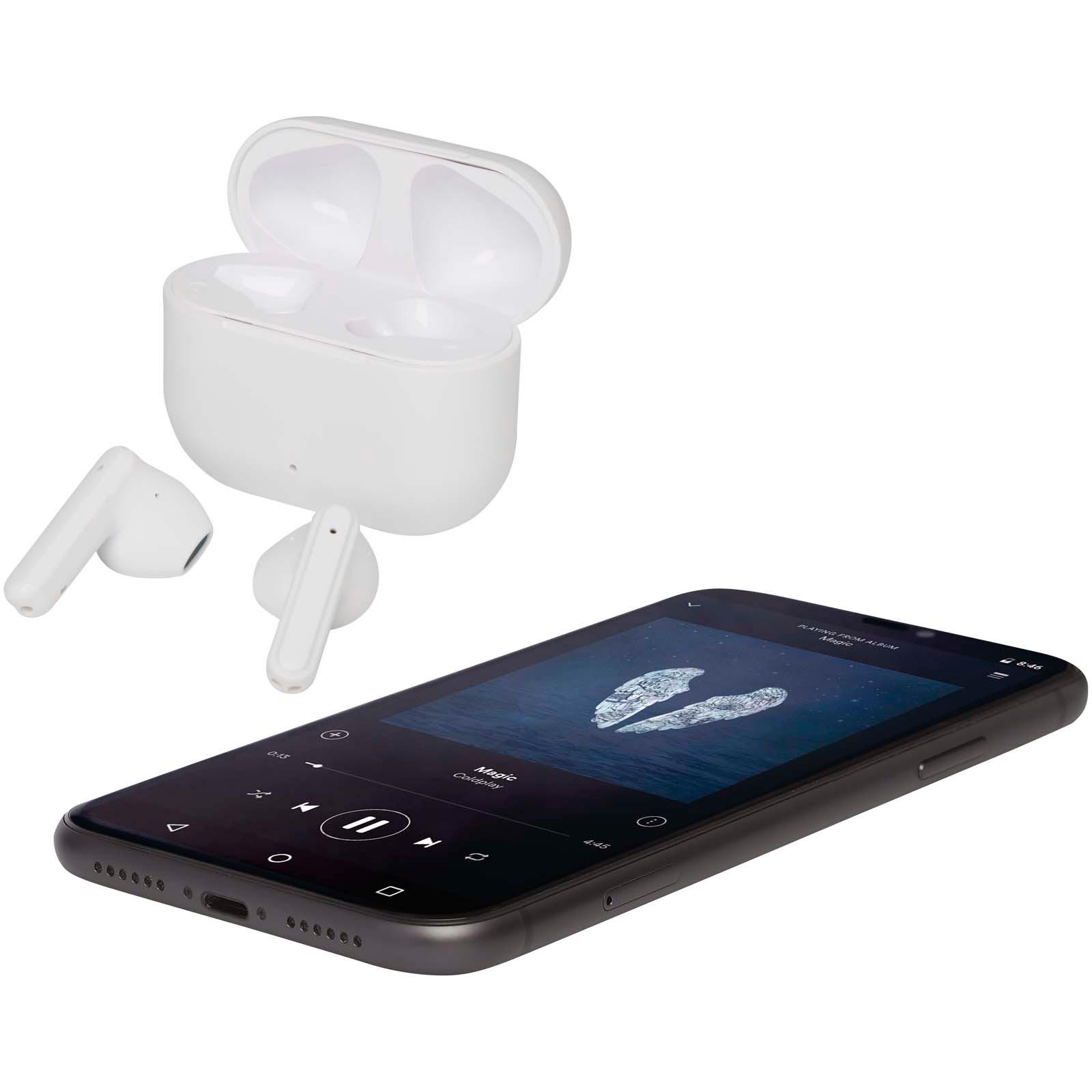 Bild på Öronsnäckor Altais