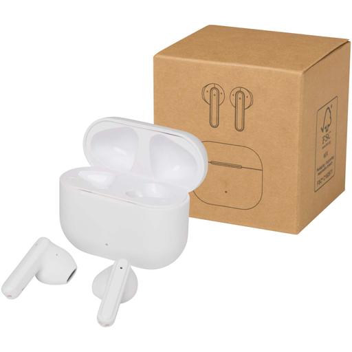 Öronsnäckor Altais