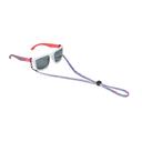 Bild på Glasögonband Isfjorden