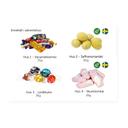 Bild på Adventshus med Godis