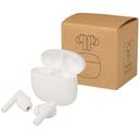 Bild på Öronsnäckor Alterf