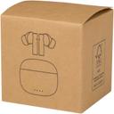 Bild på Öronsnäckor Alterf