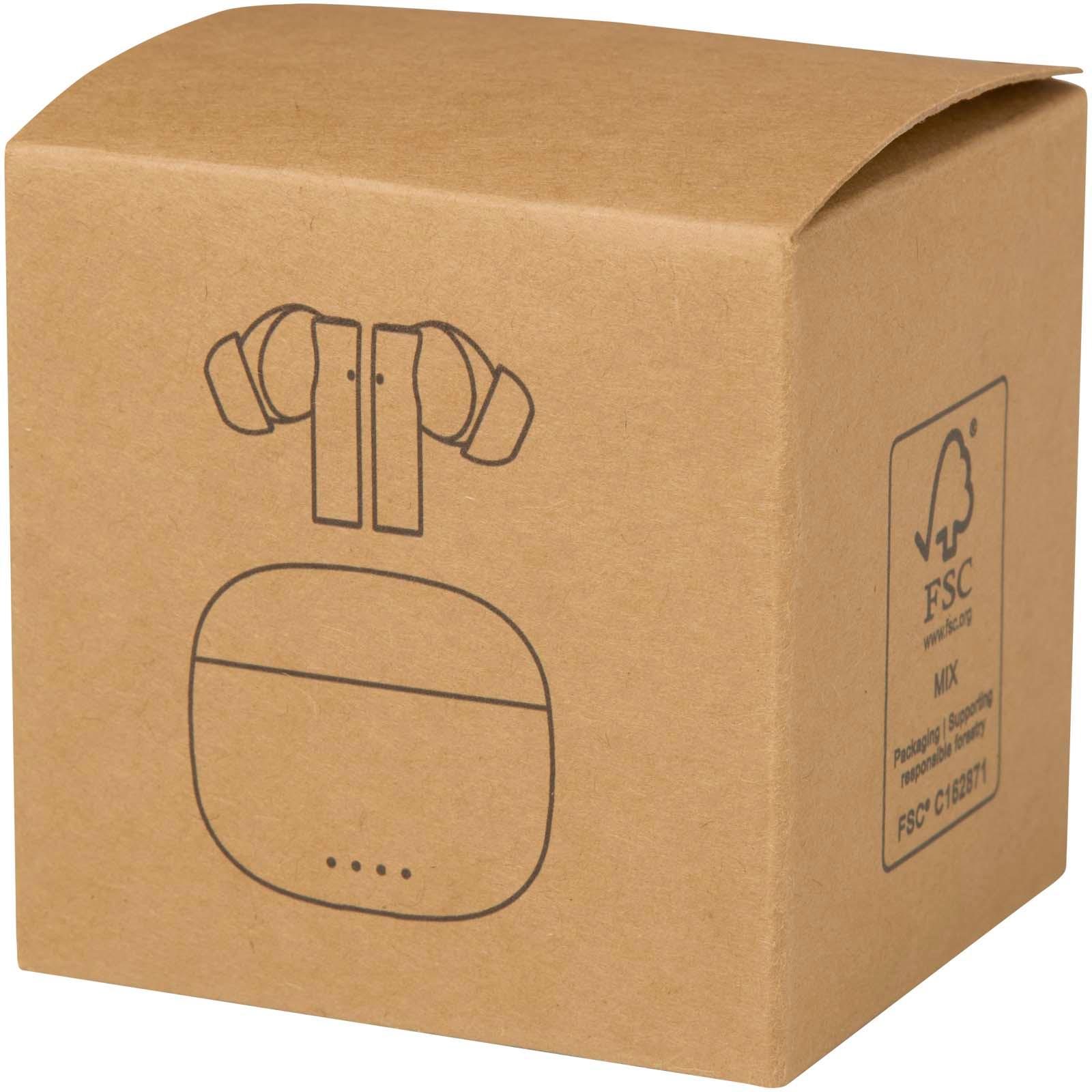 Bild på Öronsnäckor Alterf Bild på Öronsnäckor Alterf