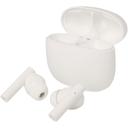 Bild på Öronsnäckor Alterf