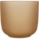 Bild på Serveringsbricka Male med glasmuggar