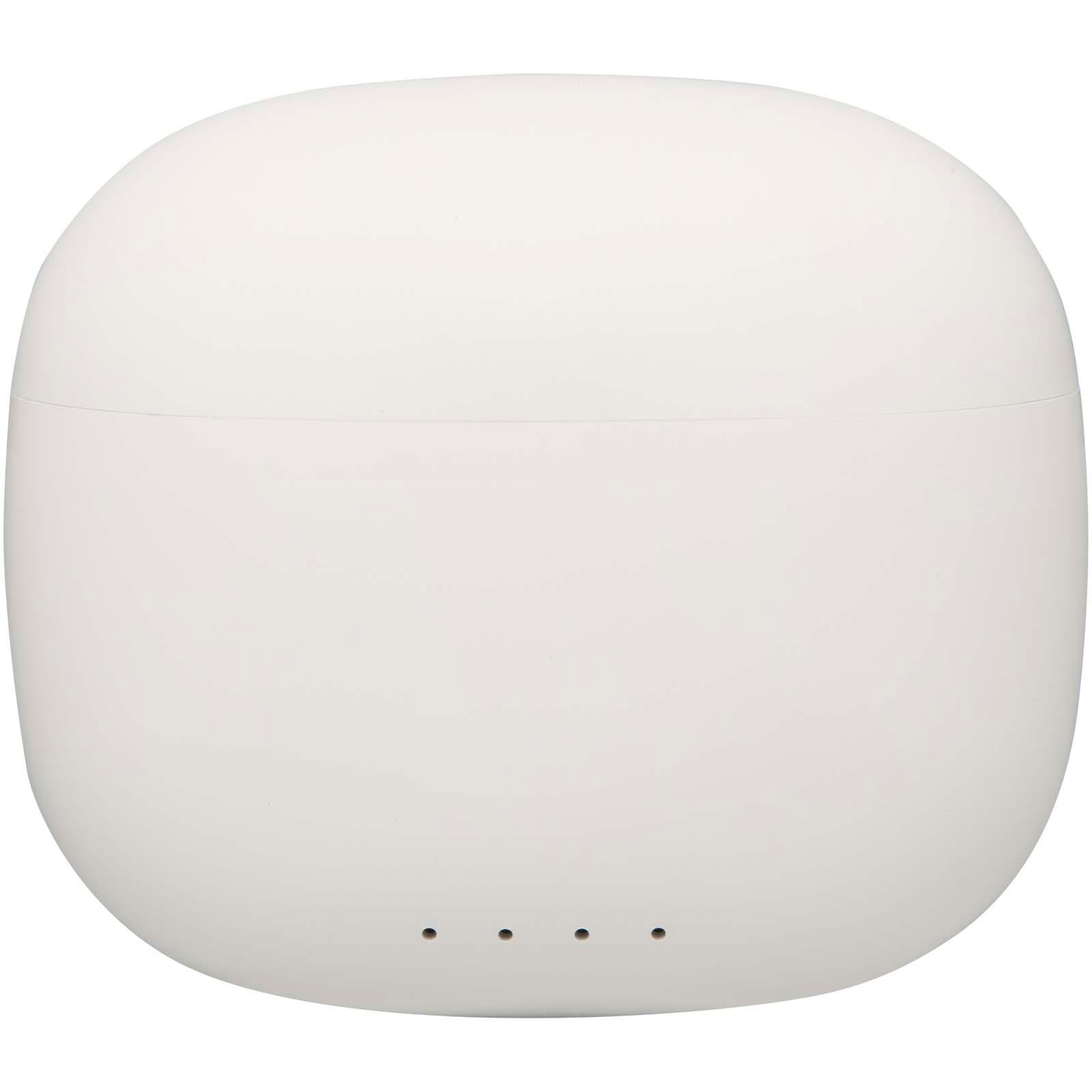 Bild på Öronsnäckor Alterf Bild på Öronsnäckor Alterf