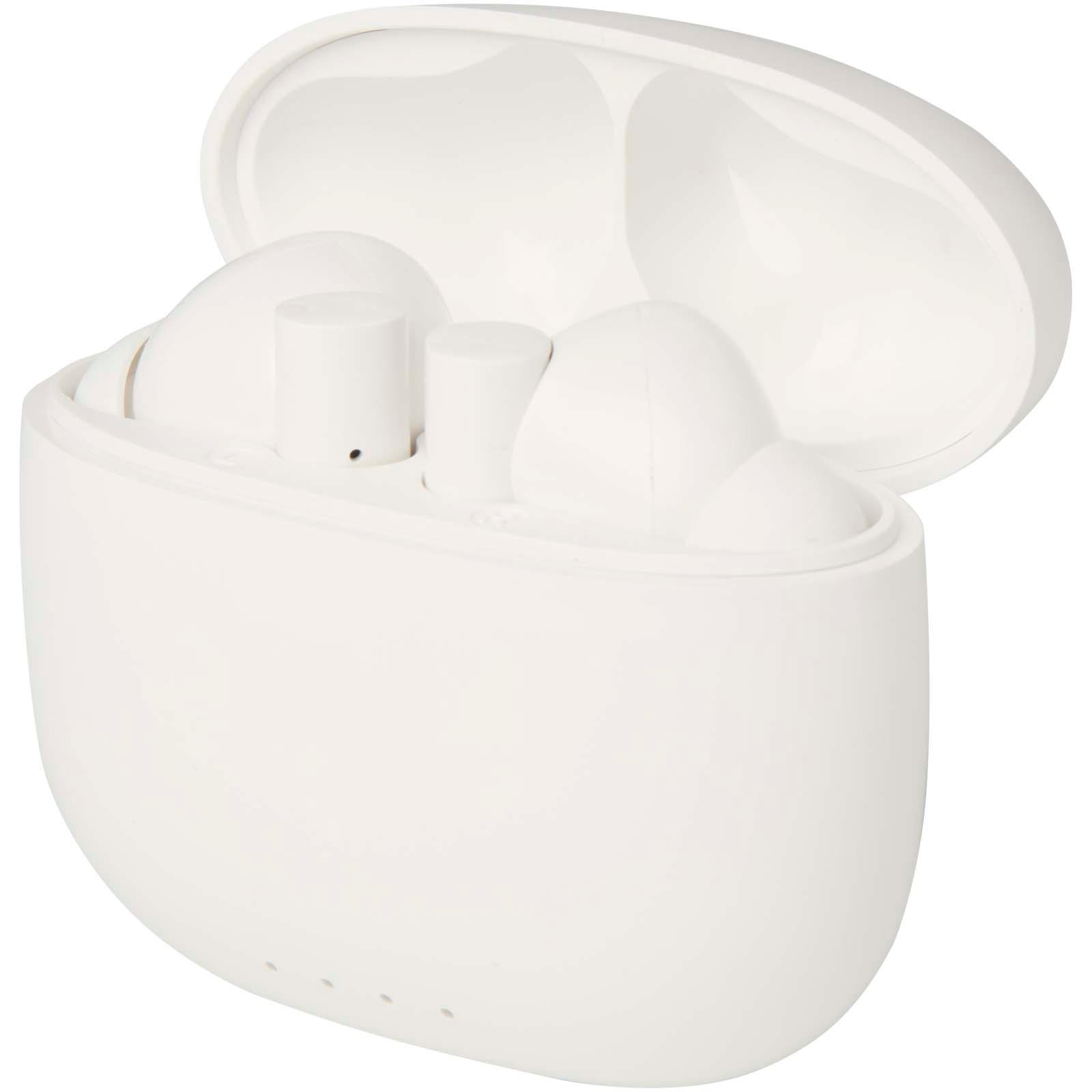 Bild på Öronsnäckor Alterf Bild på Öronsnäckor Alterf