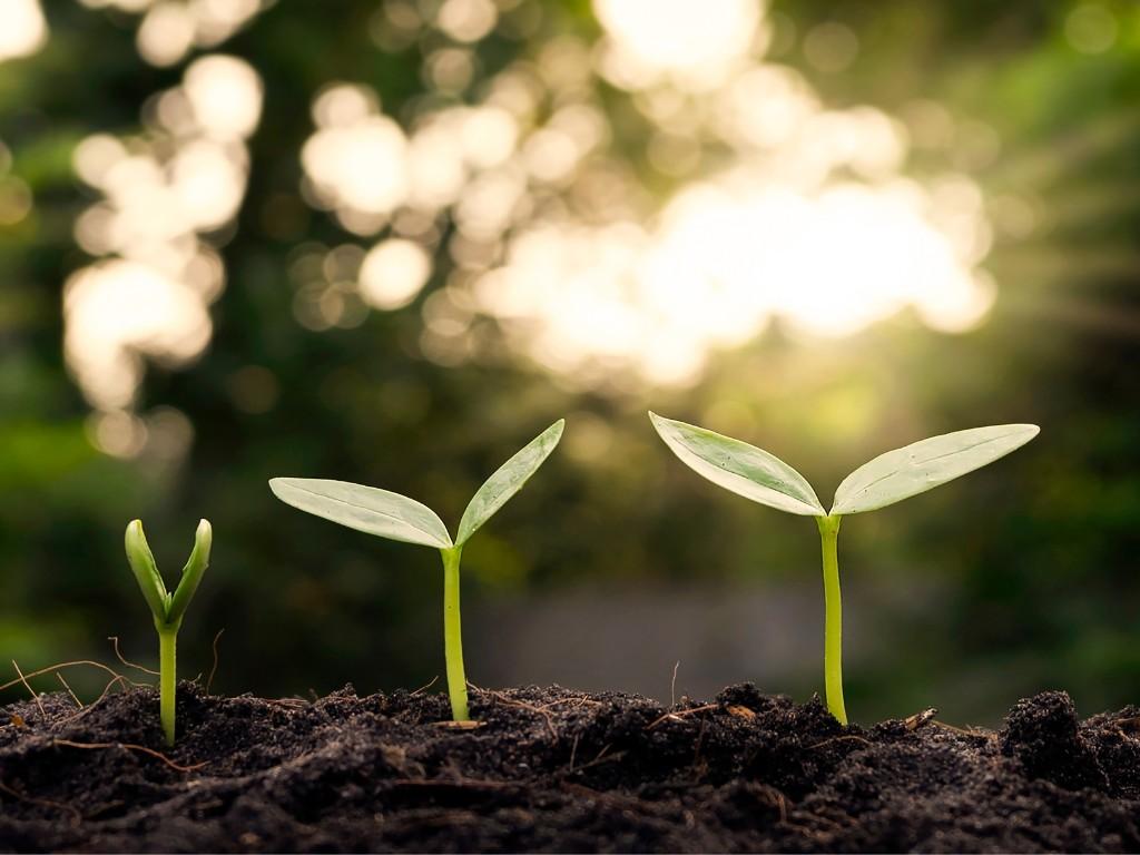 Hållbarhet på Brand New Profile